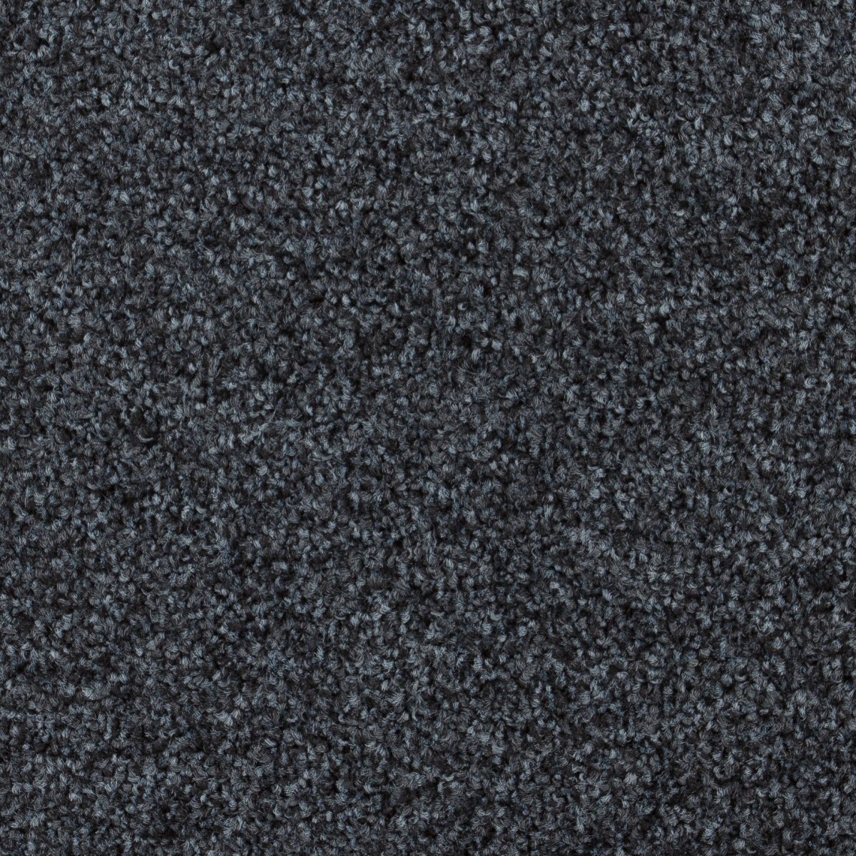 Compact Teppeflis - Image 4